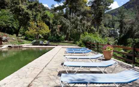 Relájate con el sonido de los pájaros y el río